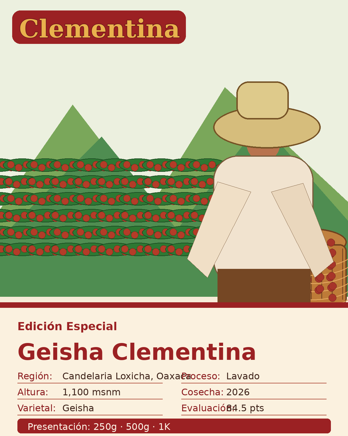 Café Geisha Kaffa Ritual